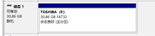 Toshiba Encrypted USB Flash Drive PFU032D-1BEK 32GB